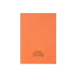 Outlet Art Déco Clear Folder A4 - My Neighbor Totoro Storage