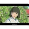 Best A4 Size Clear Folder Haku - Sprited Away Storage