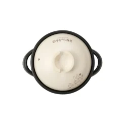 Online Banko-yaki Rice Pot 1000ml - My Neighbor Totoro Kitchenware