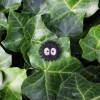 Embroidered Jewel Brooch Soot Sprite - My Neighbor Totoro Pins