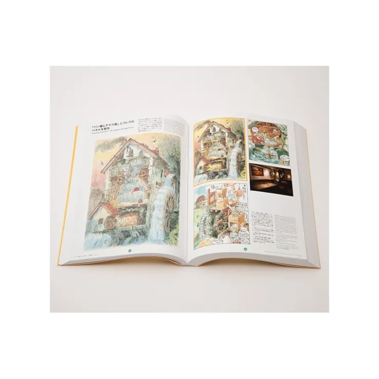 Sale Hayao Miyazaki And The Ghibli Museum Book Set - Studio Ghibli Culture
