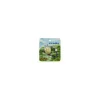 Sale MINI MAGNET SET TOTORO RIDE ON WIND-MY NEIGHBOR TOTORO Magnets